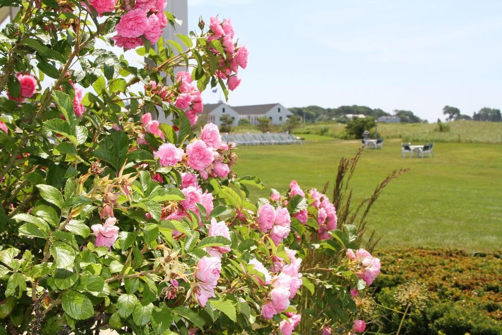 The Seaside Inn Kennebunk Kültér fotó